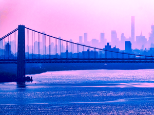 Purple Haze - Palisades, NJ