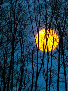 Moon Shine - Asbury, NJ