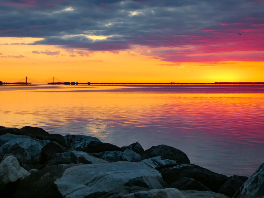 Bay Day - Indian River Bay, DE