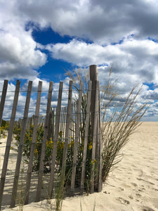 Just A Cloud Away - Cape May, NJ