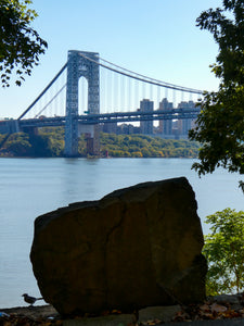 Little Birdie - Palisades, NJ