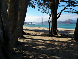 View from Crissy Field - San Francisco, CA