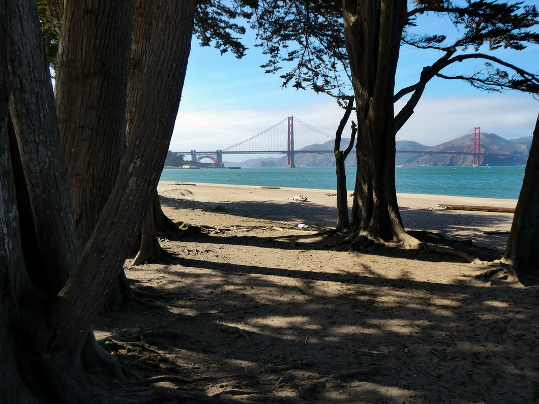 View from Crissy Field - San Francisco, CA