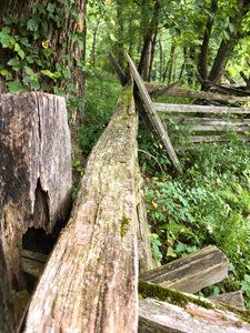 Zig Zag Fence - Morristown, NJ