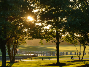 Beckoning Bridge - Long Neck, DE