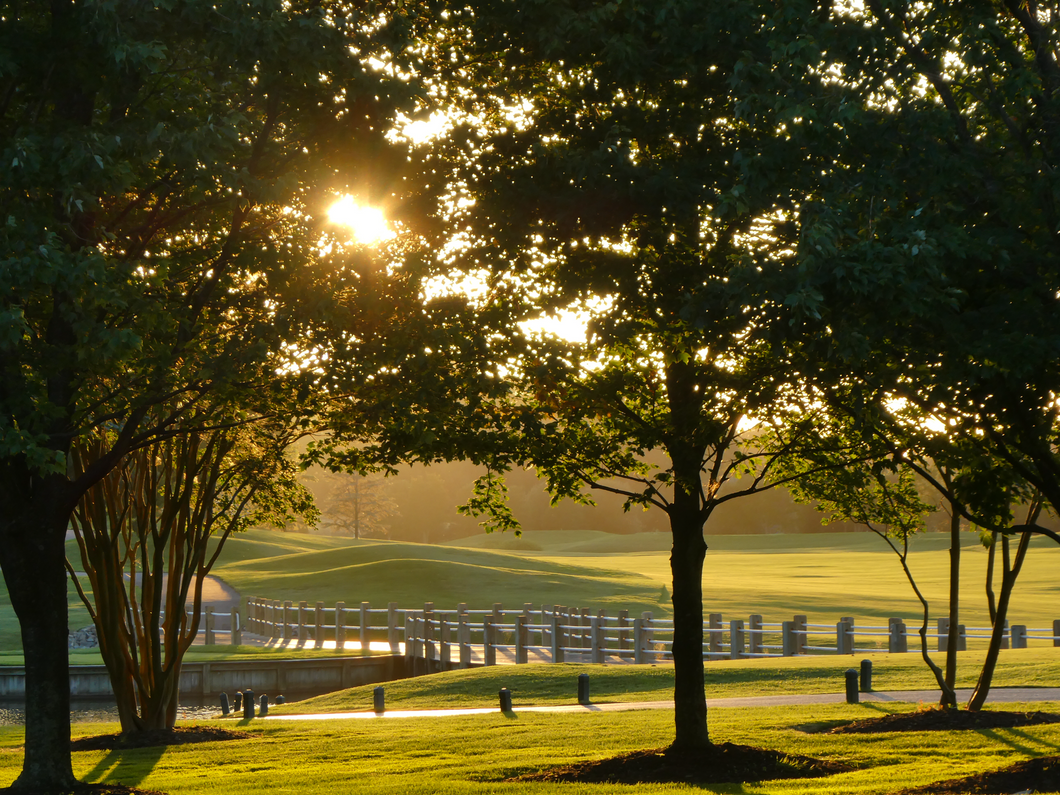 Beckoning Bridge - Long Neck, DE