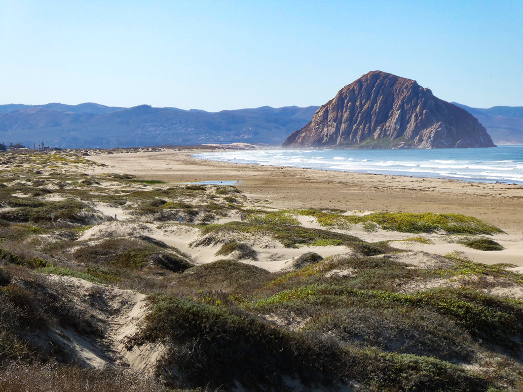 Rock Star - Morro Bay, CA
