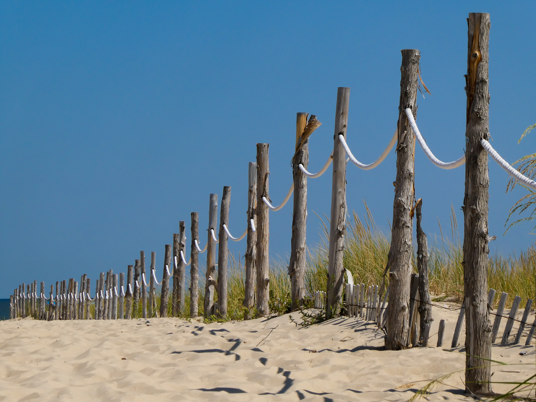 On The Ropes - Cape Henlopen, DE