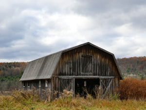 Roadside Splendor - Candor, NY