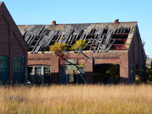 Gimme Shelter - Sandy Hook, NJ
