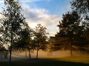 Morning Mist - Flanders, NJ