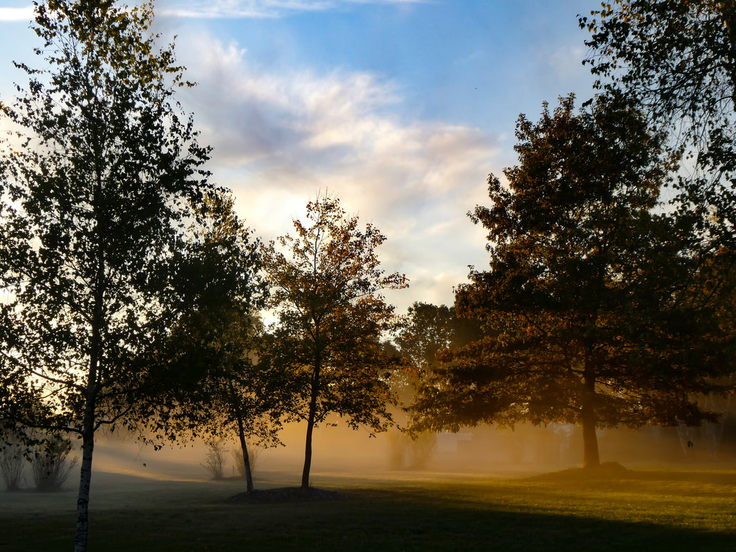Morning Mist - Flanders, NJ