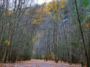 Lonely Passage - Ulysses, NY