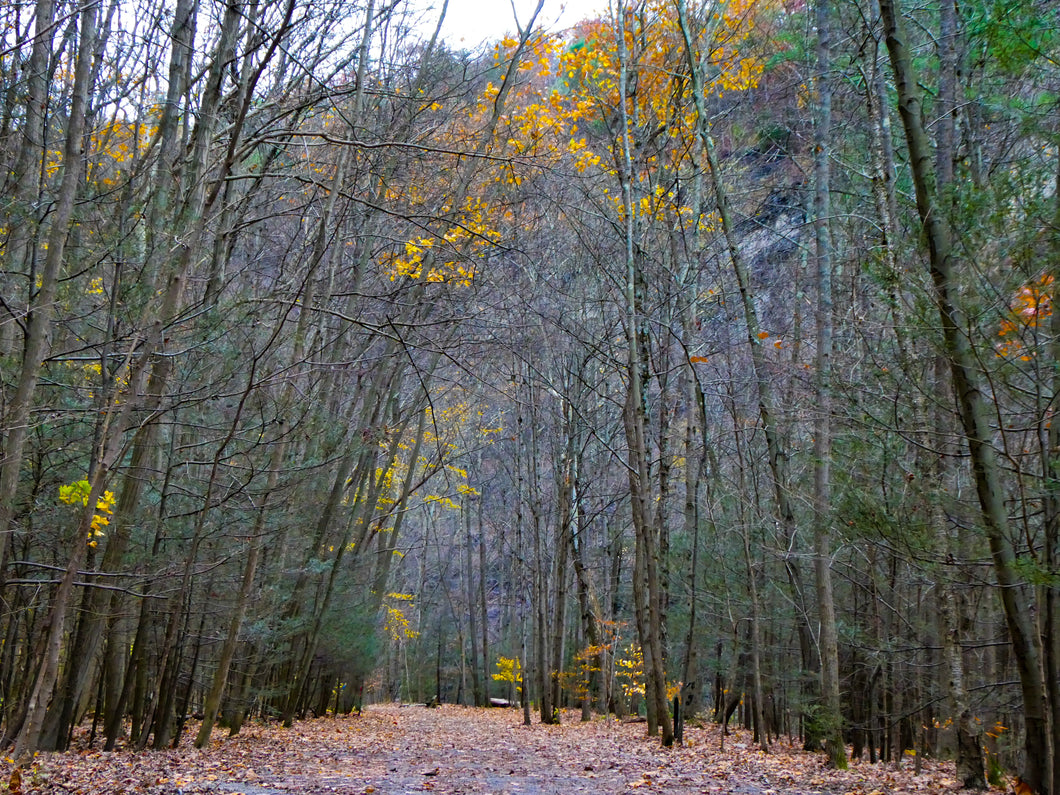 Lonely Passage - Ulysses, NY
