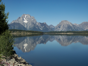 Double Vision - Jackson Lake, WY
