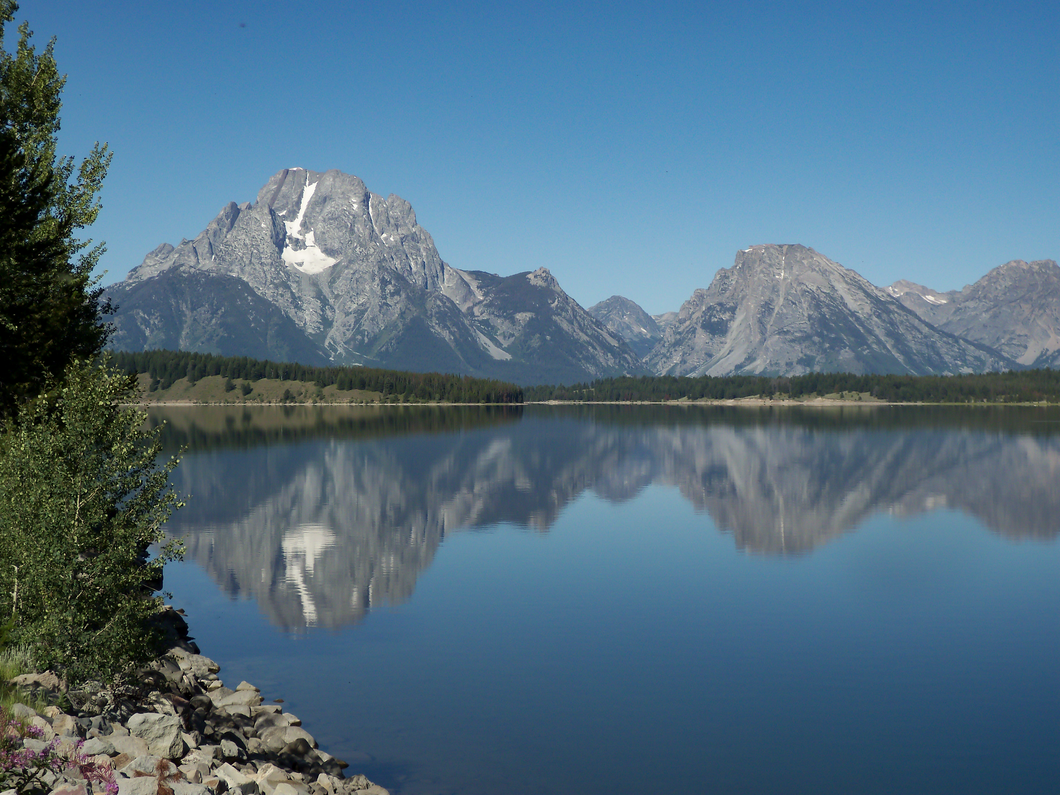 Double Vision - Jackson Lake, WY